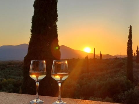 Yiannis & Ria's Farm House in Messenia