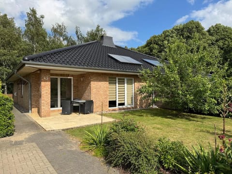 Property building, Day, Garden