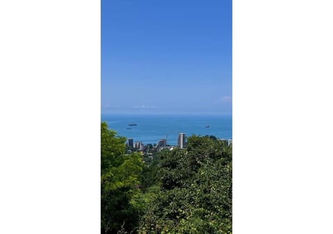 Sea view