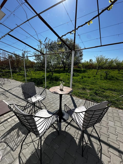 Patio, Garden, View (from property/room), Balcony/Terrace, Garden view