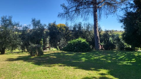 Property building, Garden view