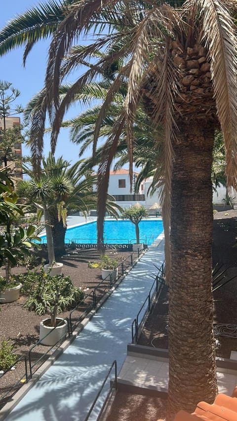 Day, Garden, Garden, Garden view, Pool view, Swimming pool, sunbed