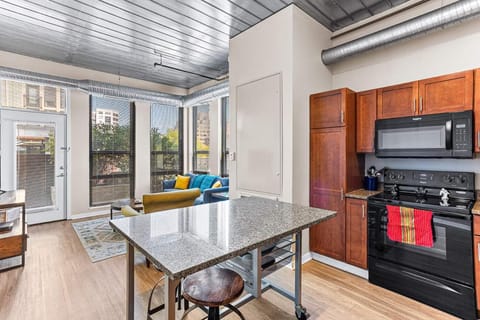 2 Luxe 2BR Apts Near Big House w Parking & Gym Apartment in Ann Arbor