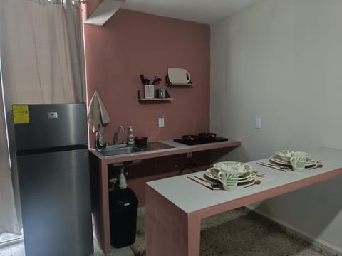 Suite 105 Cordoba centro y estacionamiento Apartment in State of Puebla