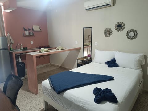 Suite 105 Cordoba centro y estacionamiento Apartment in State of Puebla