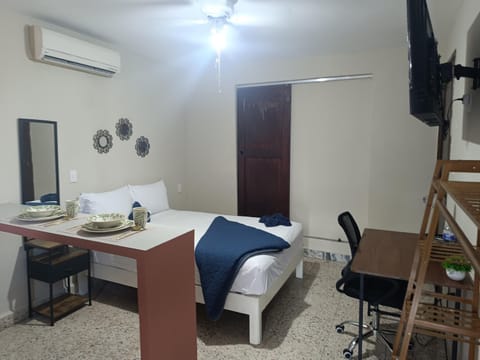 Suite 105 Cordoba centro y estacionamiento Apartment in State of Puebla
