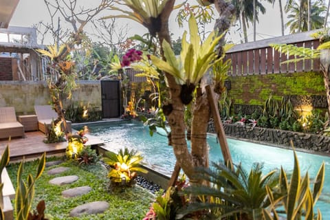 Garden, Garden view, Swimming pool, sunbed