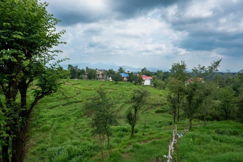 Natural landscape