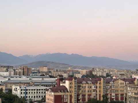 Nearby landmark, Natural landscape, Bird's eye view, City view, Mountain view
