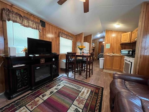 Waterfall Rush Tiny Home on River House in Cosby