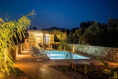 Property building, Patio, Night, Natural landscape, Garden, Garden view, Pool view, Swimming pool, sunbed