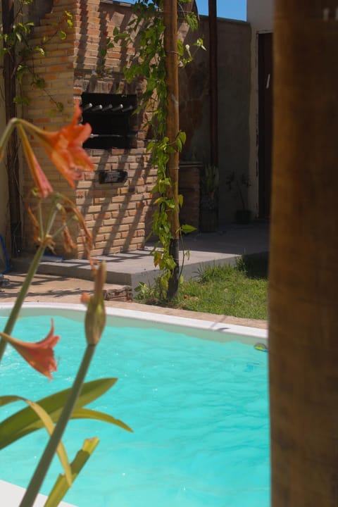 Garden, Swimming pool