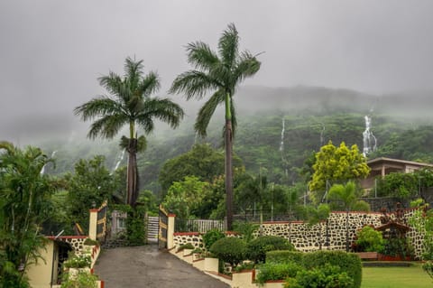 Day, Natural landscape, Garden view, Mountain view
