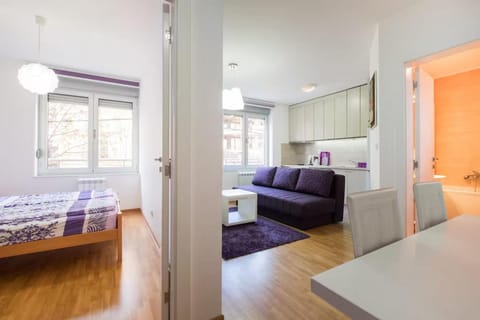 Sekula's City Center Apartment Apartment in Belgrade