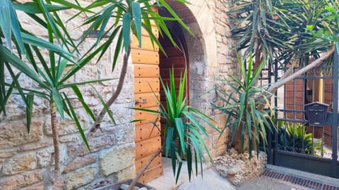 Spring, Day, Garden view