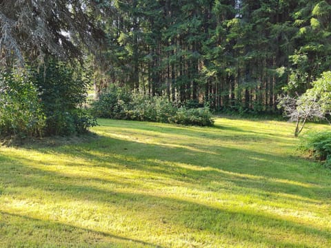 Omakotitalo kolmella makuuhuoneella Apartment in Finland