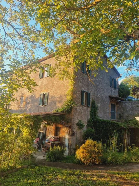 Property building, Garden, Garden view
