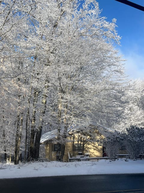 Natural landscape, Winter