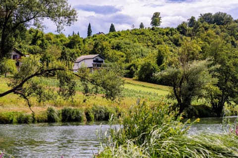 Nearby landmark, Spring, Day, Natural landscape, River view