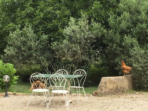 Garden, Animals