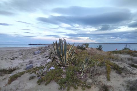 Natural landscape, Beach