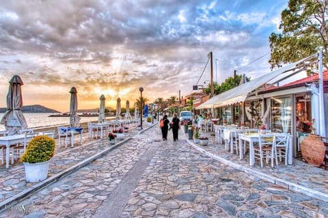 Villa Gaia Navarino Villa in Messenia