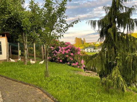 Natural landscape