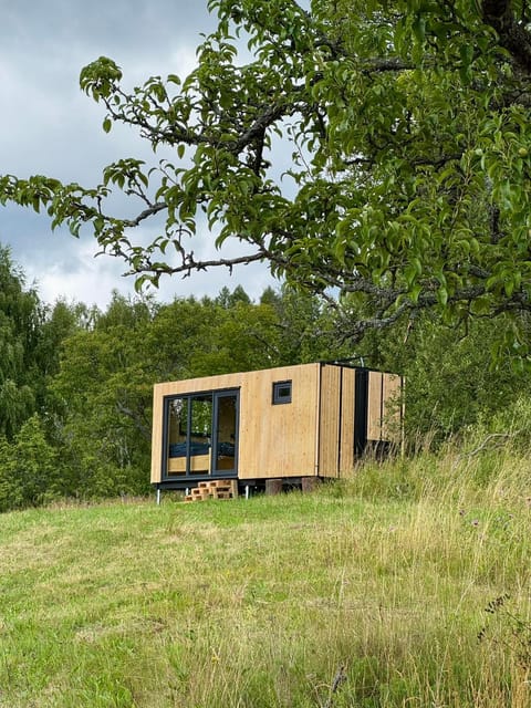 Property building, Natural landscape, Garden