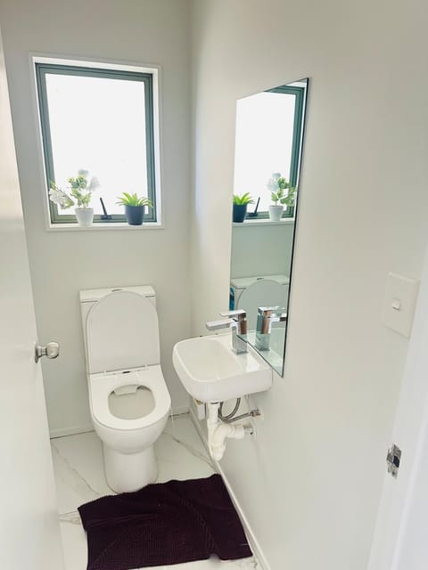 Deluxe Beauty House near Auckland Airport and City House in Auckland