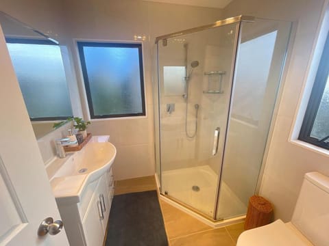 Auckland City & AIRPORT Near Sylvia park mall House in Auckland