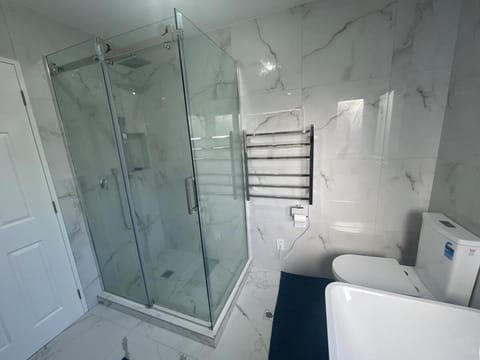 Auckland City & AIRPORT Near Sylvia park mall House in Auckland