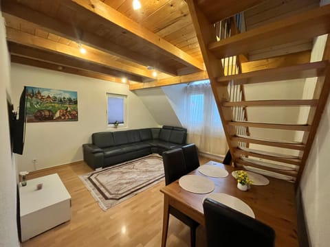 Big Apartment 2 Apartment in Villingen-Schwenningen