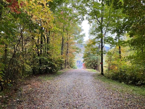 Modern Cabin, Secluded, Views, Lake, Private Dock, WIFI Cabin in Nantahala Lake