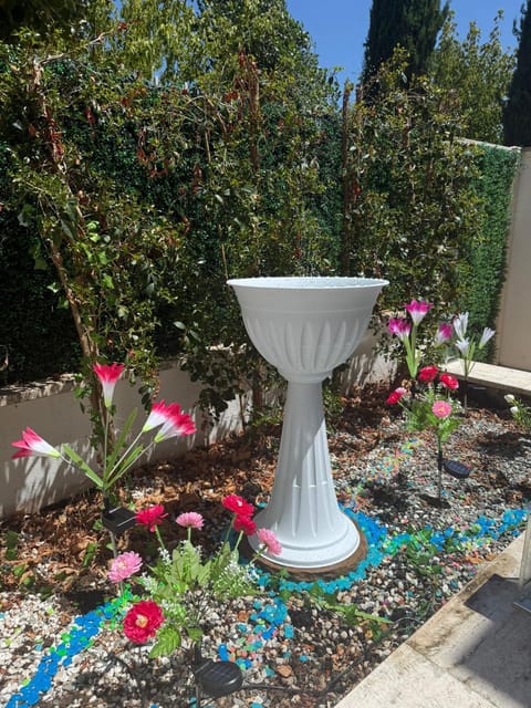 Spring, Day, Garden, Garden view