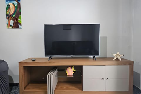 TV and multimedia