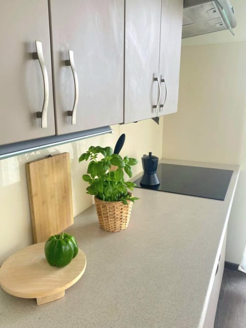 Adamant Apartament Apartment in Szczecin