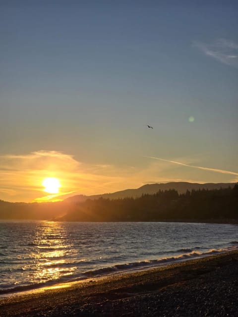 Davidson Star Vacation rental in Vancouver Island