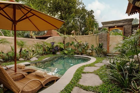 Patio, Garden view, Swimming pool, sunbed