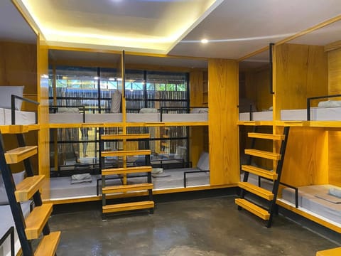 Bed, Photo of the whole room, Bedroom, bunk bed