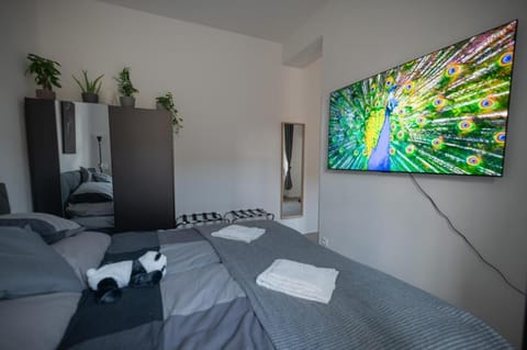 Bed, TV and multimedia, Photo of the whole room, Bedroom