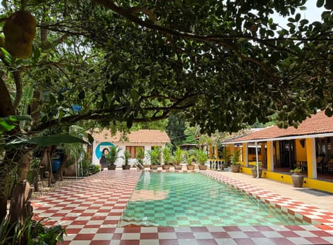 Property building, Day, Garden, Garden view, Pool view, Swimming pool, Swimming pool