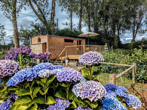 Property building, Garden, Garden view