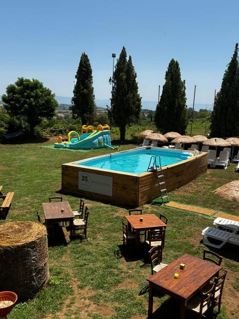 Spring, Day, Natural landscape, Garden, Garden view, Pool view, Swimming pool, sunbed