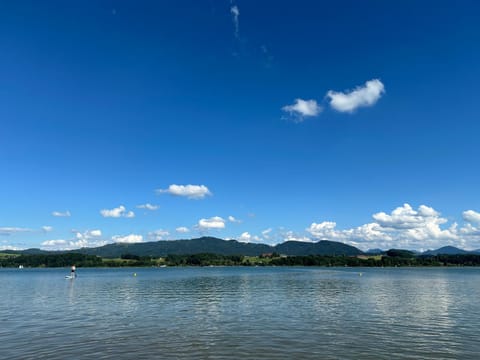 Natural landscape, Summer
