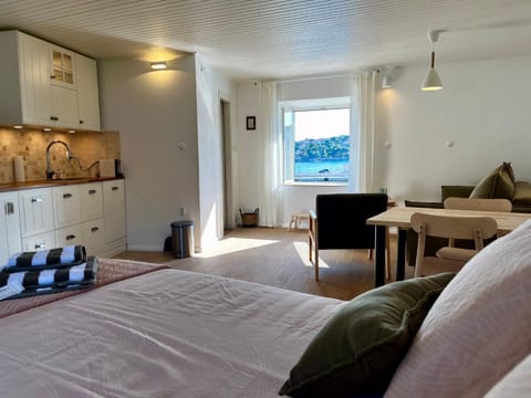 Bed, Kitchen or kitchenette, Living room, Photo of the whole room, Seating area, Dining area, Bedroom