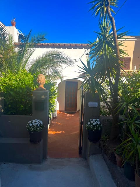 Property building, Spring, Day, Garden, Garden view