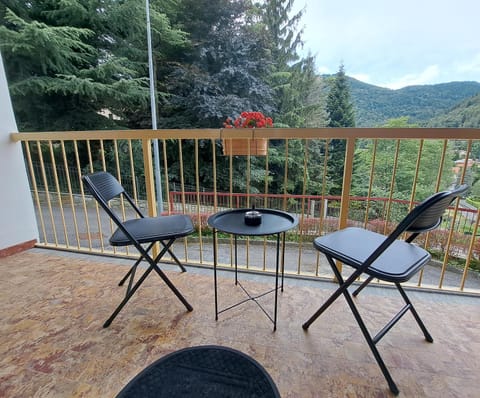 Dinky's apartment with a balcony overlooking the woods Apartment in Bellagio