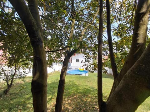 Garden, Swimming pool
