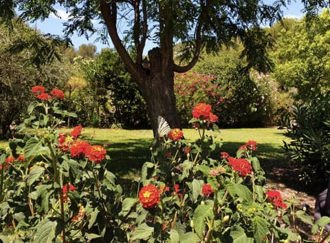 Sun Villa Villa in Sanary-sur-Mer