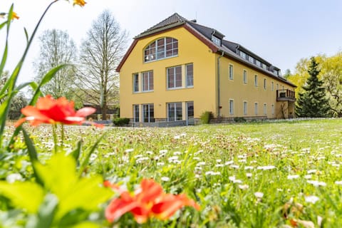 Property building, Natural landscape, Garden view